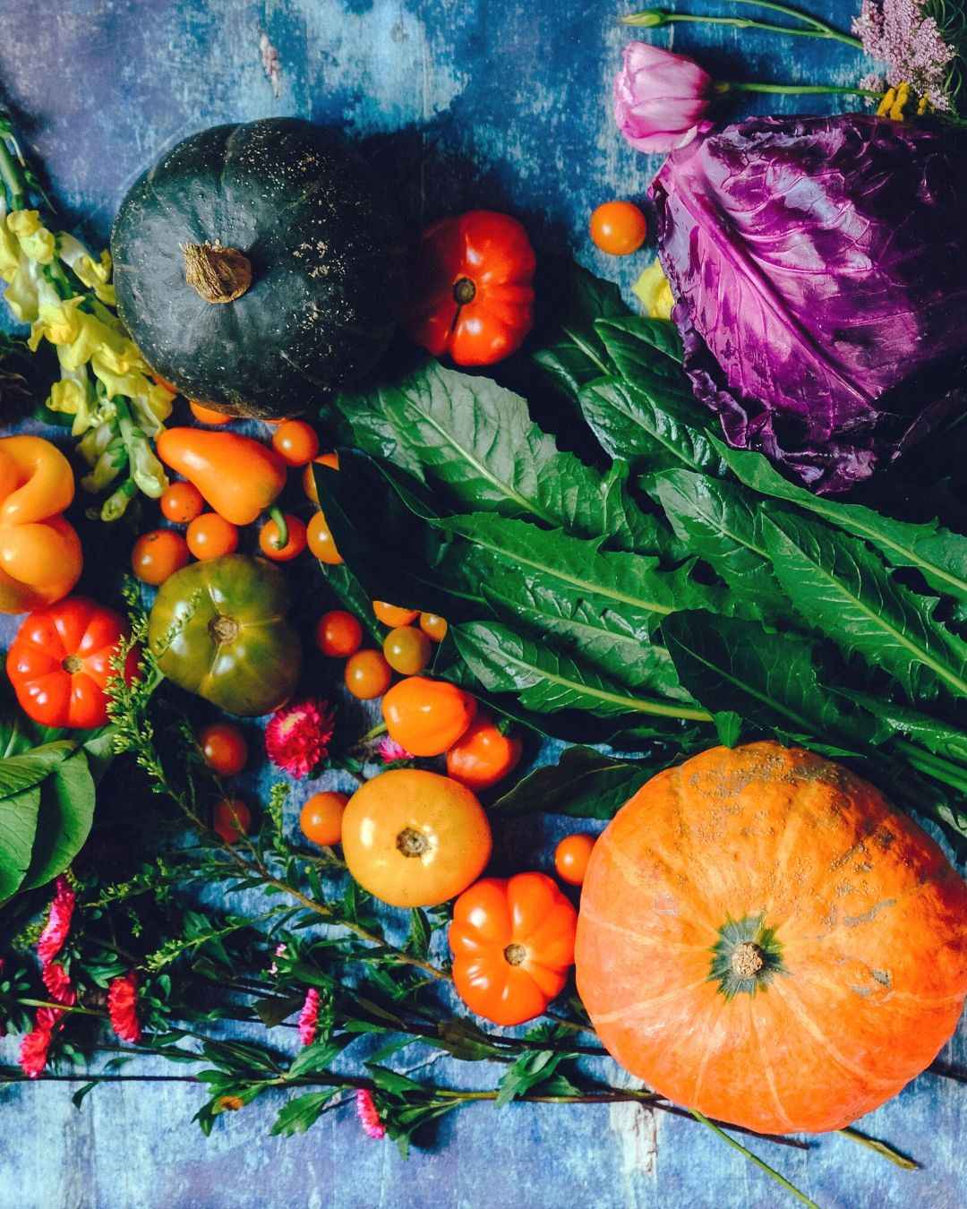 Taller de alimentación